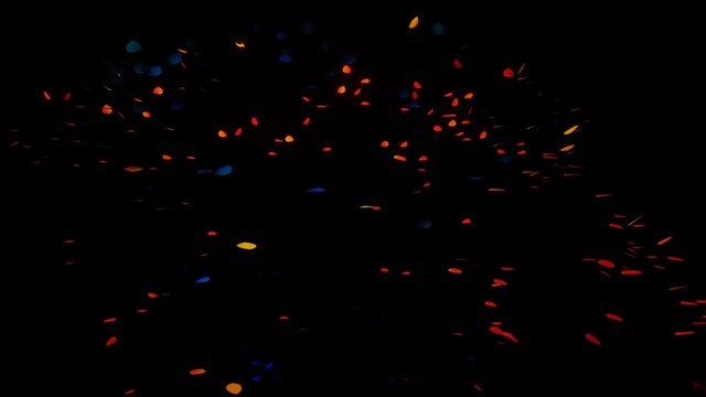 bunte Partikel vor schwarzem Hintergrund - 3D Animation
