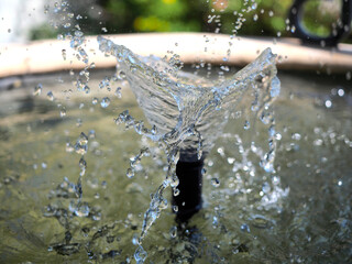 Naklejka na ściany i meble A fountain was installed in the garden. -photo