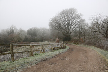 Frosty English country scene in winter showing icy path and trees no foliage