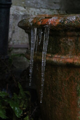 Naklejka na ściany i meble Chilly winter scene showing icicles hanging off mossy terracotta pot