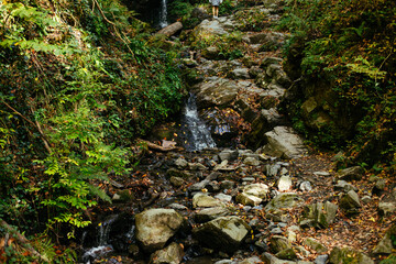 Forest waterfall on mossy stones. Mossy forest waterfall stream. Waterfall in mossy forest. Mossy waterfall view