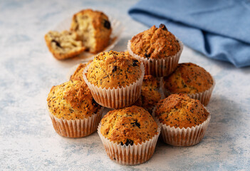 Homemade chia seed and cranberry muffins.