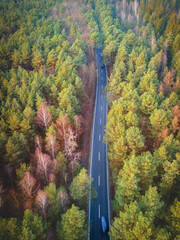 aerial view on the road in the woods