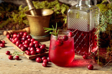 Cranberry cocktail with natural ice and rosemary in frozen glass.