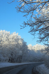 winter landscape with the road the forest and the blue sky
