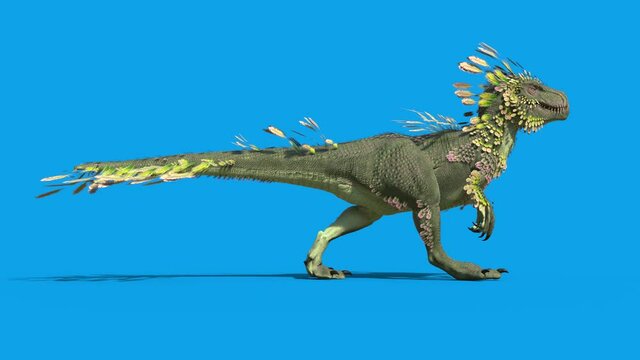 Feathered Dinosaur Trex Walkcycle Loop Blue Screen Side 3D Rendering Animation 4K