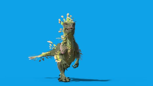 Feathered Dinosaur Trex Walks Blue Screen Front 3D Rendering Animation 4K