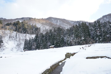 UNESCO, World Heritage Site, Shirakawago village with winter snow in Gifu prefecture, Japan , 日本 岐阜県 白川郷 合掌造り
