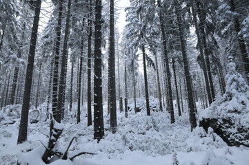 Stołowe Mountains, Poland