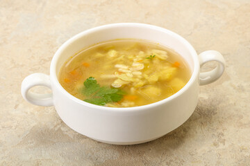 Tasty chicken soup with carrot