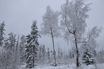 Stołowe Mountains, Poland