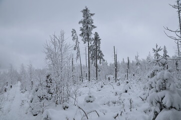 Stołowe Mountains, Poland