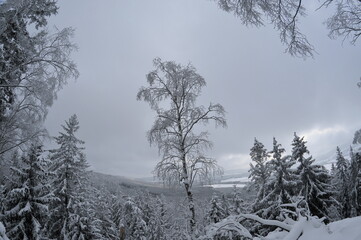 Stołowe Mountains, Poland