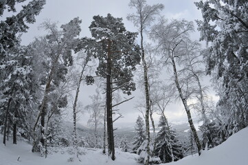 Stołowe Mountains, Poland