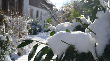 Snow covered garden on a sunny winter day near Neuhof, Germany.