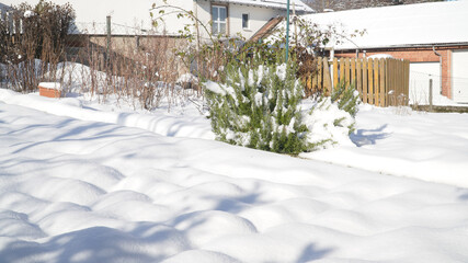 Snow covered garden on a sunny winter day near Neuhof, Germany.