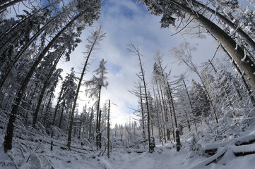 Stołowe Mountains, Poland
