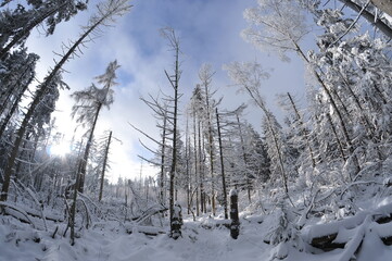 Stołowe Mountains, Poland