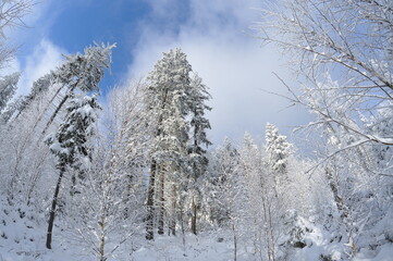 Stołowe Mountains, Poland