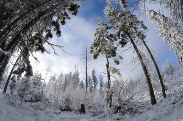 Stołowe Mountains, Poland