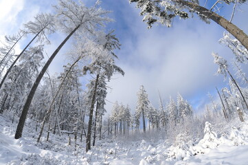 Stołowe Mountains, Poland