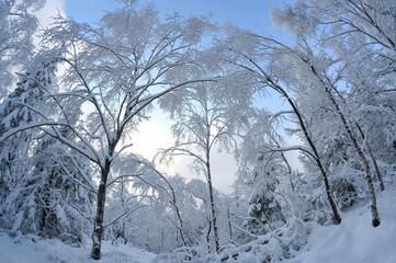 Stołowe Mountains, Poland