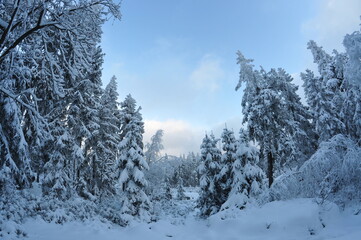 Stołowe Mountains, Poland