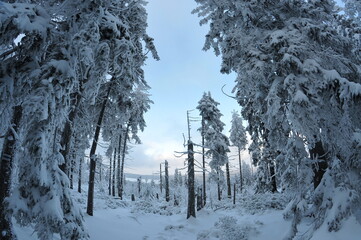 Stołowe Mountains, Poland