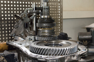 View of the shafts and gears of the manual transmission from the main gear side