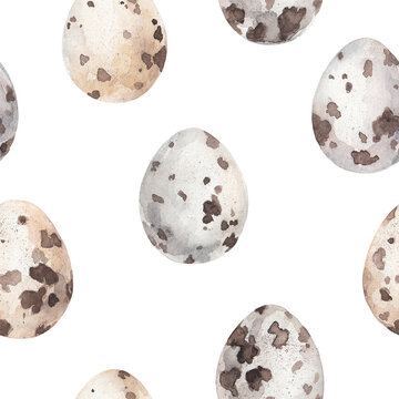 cute little quail eggs wildlife spotted egg color pattern 2 on a white background
