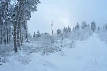 Stołowe Mountains, Poland