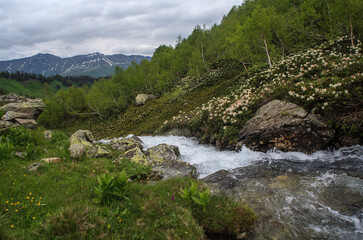 The rapid flow of the Dukka River. Caucasus. Russia