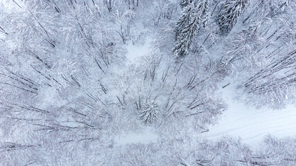 During the snowfall. Bird's-eye view of the forest and snow-capped mountains.