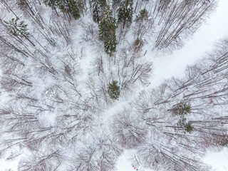 During the snowfall. Bird's-eye view of the forest and snow-capped mountains.