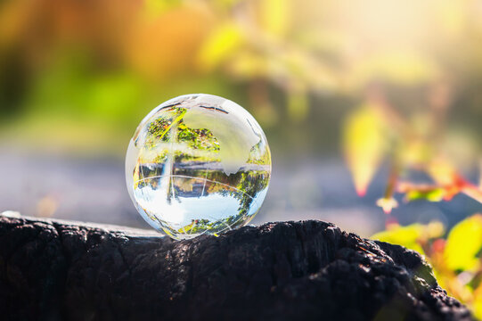 gobe glass on woods with sunshine. environment concept