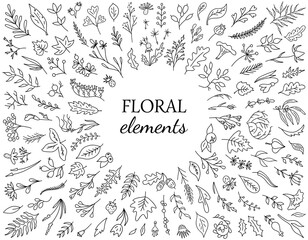 Fototapeta premium Set of hand drawn flower elements. Vintage floral collectoin. Branches, leaves, herbs, foliage and other botanical elements. Perfect for create greeting cards, invitations, , quotes, Wedding Frames an