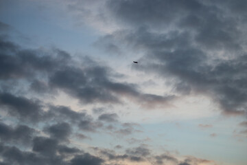 Fototapeta na wymiar View of bird silhouette flying on cloudy sky on sunset background