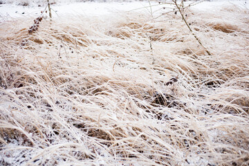 Stylish and beautiful nature photography



