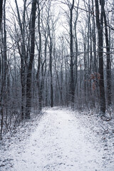 Stylish and beautiful nature photography



