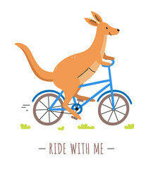 Cute kangaroo ride on a bicycle.