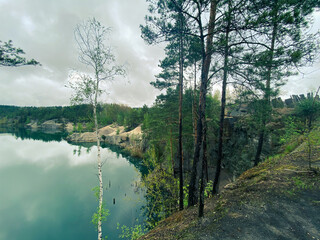 Fototapeta premium Stylish and beautiful nature photography