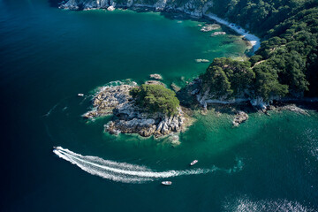 aerial view of the sea and forest