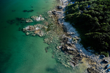 aerial view of the sea and forest