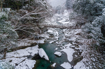 祖谷のかずら橋雪景色