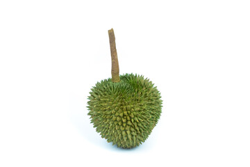 Durian monthong fruit fresh isolated on white background and clipping path. The name of science : Durio zibethenus Linn.