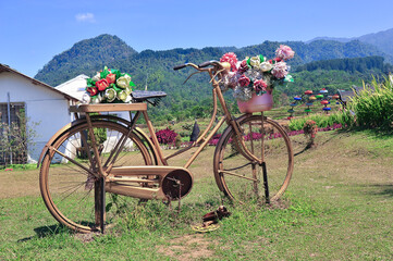Fototapeta premium bicycle with flower decoration in the garden, blue sky and nice cloud