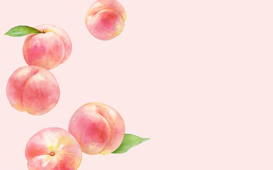 ピンク色のジューシーなフルーツのシームレスパターン 水彩イラスト モモ イチゴ グレープフルーツ Wall Mural Keikotakamatsu