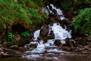 Fototapeta na wymiar little waterfall in a creek with many rocks and plants