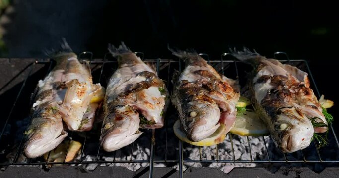 Sea bass or grouper fish grilled over charcoal. Close-up shot cooking seafish with aromatic spices on barbecue grill plate. Baking roasting marinated delicious seafood. BBQ  in summer garden outdoors 