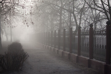 foggy alley park